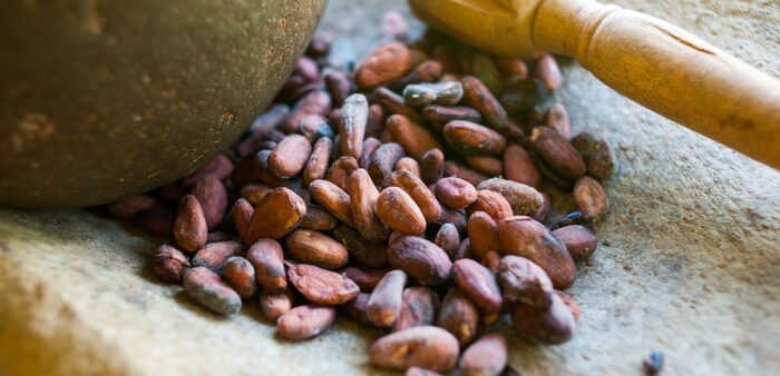 Spice tour of Villa Vanilla, Manuel Antonio, Puntarenas, Costa Rica. Copyright © 2022 Terence Carter / Grantourismo. All Rights Reserved.