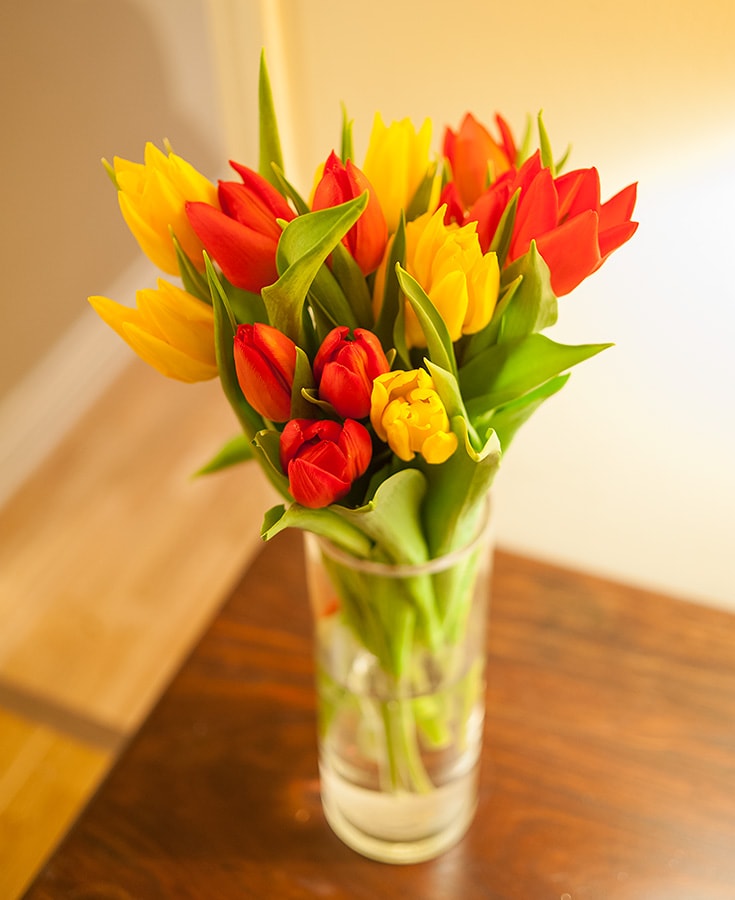 London, Last Stop on our Grand Tour of the Globe. HomeAway Holiday Rental in London, England. Copyright © 2023 Terence Carter / Grantourismo. All Rights Reserved.