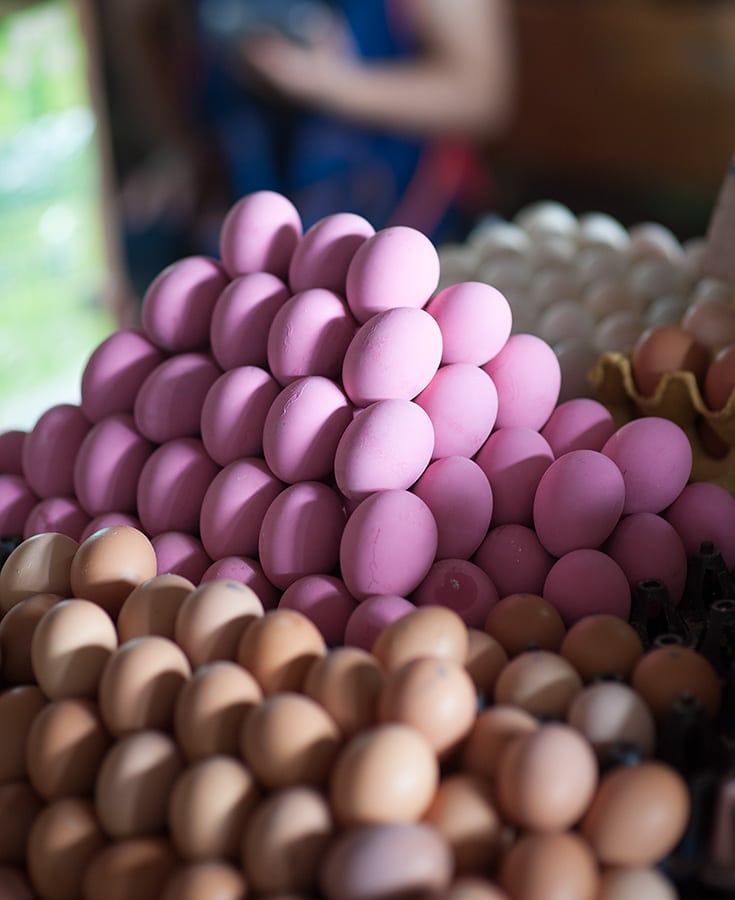 Learning About Lao Cuisine on a Market Walk in Luang Prabang. Luang Prabang Market visit. Luang Prabang, Laos. Copyright © 2022 Terence Carter / Grantourismo. All Rights Reserved.