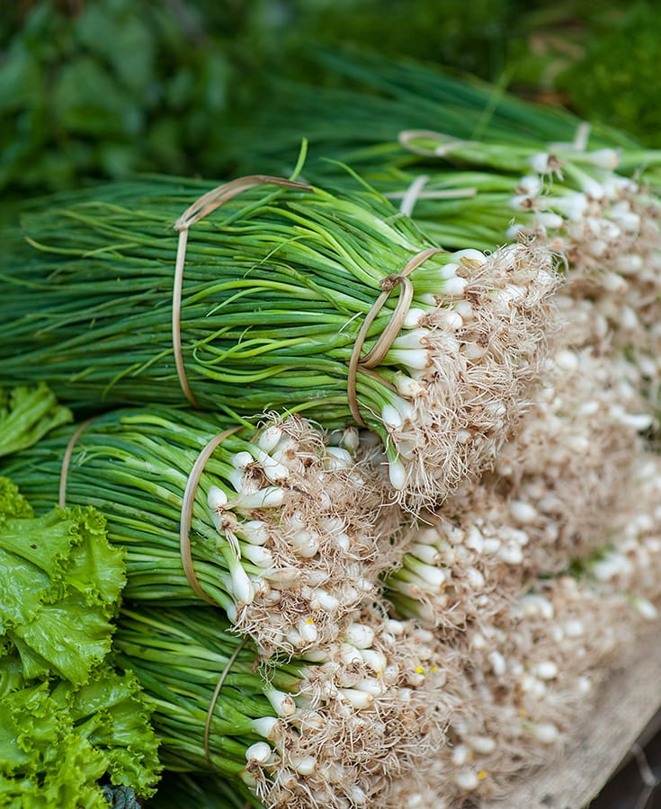 Learning About Lao Cuisine on a Market Walk in Luang Prabang. Luang Prabang Market visit. Luang Prabang, Laos. Copyright © 2022 Terence Carter / Grantourismo. All Rights Reserved.