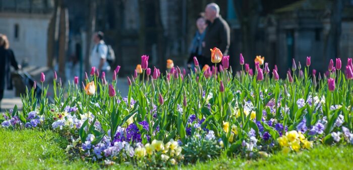 Best Parks and Gardens in the World to Spread Your Picnic Blanket. Relaxing in spring, Paris, France. Copyright © 2022 Terence Carter / Grantourismo. All Rights Reserved.