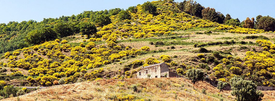 National Parks of Calabria – Italy's Secret Mountains, Forests and Lakes. Aspromonte National Park, Calabria, Reggio di Calabria, Italy. Copyright © 2022 Terence Carter / Grantourismo. All Rights Reserved.